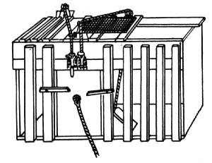 ɣ���˶�è��ѧϰʵ����