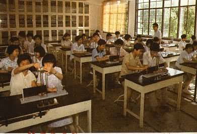 �Ϻ���ѧѧ����������ʵ���