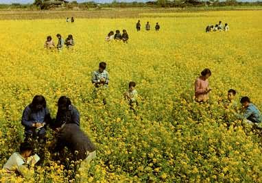 ����������ũҵ��ѧ���Ͳ��������ʵ��