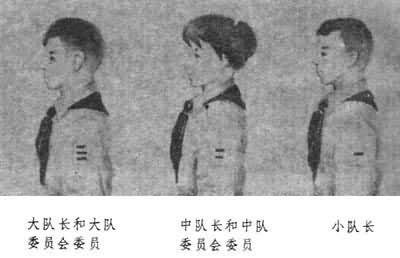 ��ӳ��ʹ��ίԱ��ίԱ�жӳ�������ίԱ��ίԱС�ӳ�