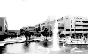 ������ѧ��ѧ