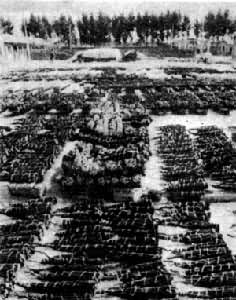 ɽ���㱱����һ�������μӹ�������ɹ��