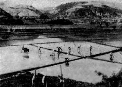 ���ߵ�����������±��ĺý���