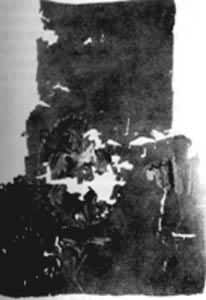 �Ͷ������������й��������Ƭ