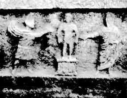 ū���������¹�˹��ʱ�����հ��ı��̣�