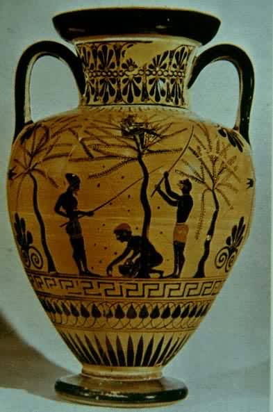 ��Ԫǰ6����ϣ����˫����ƿ����氢�Ῠ����������ջ�