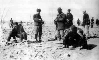 �����ι��ڸ���ս��ʱ�ڽ����ũ�������ֵõ�����