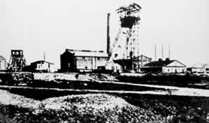 ����ú�����ҹ���