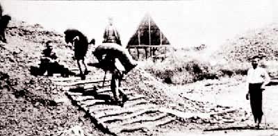 �ն�ս�����ձ���ռ�ĸ�˳ú��