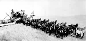 19���������������ո��