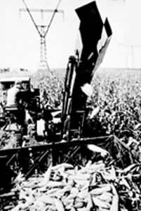 �й�����������ջ��