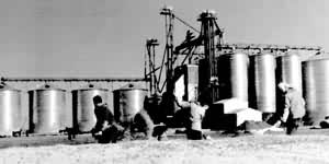 һ�˹�Ӫũ���Ļ�е����ʳ��������