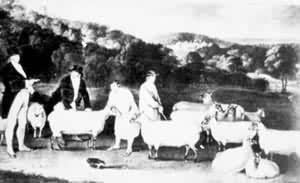 T.W.�ƿˣ�������ķ����˹�ز������Ӻ�������Ⱥ��1808��