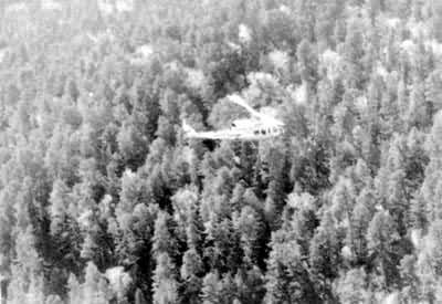 ���л���