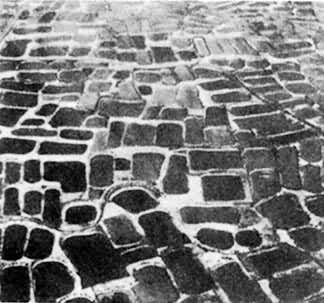 �㶫˳�µ�ɣ������