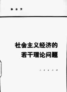 ��������徭�õ������������⡷��1�����