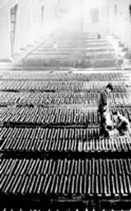 �������ɫ������˾���������