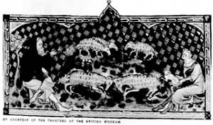 ���˺����ǵ���Ⱥ��Ӣ������14���ͣ�