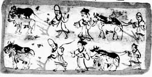 ����ţ��