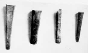 �䣨�̡����ܣ�