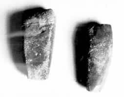 �����̣�