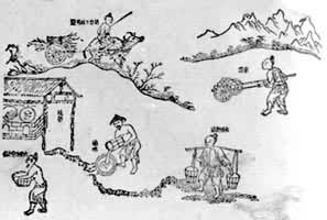 ������Σ�ѡ�ԡ������η�־����