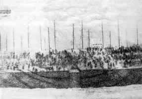 ������ƺ��޵�ͼ��