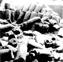 �������������������غ淶Ҥ������