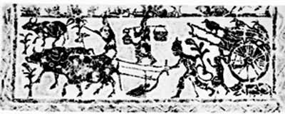 ����ţ������ʯ��Ƭ