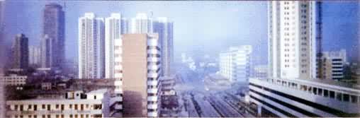 ���ھ�������