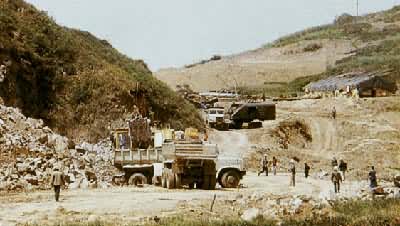 �����е�����С�۾��ü���������