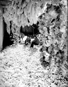 ���׷��գ�����������