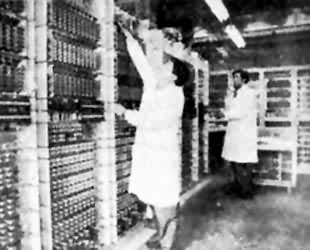 �ݺ��Ƶ绰��������ʽ