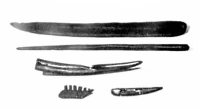 ��ķ����ַ�����Ĺ��󡢹ǻ���������ȷ�֯����