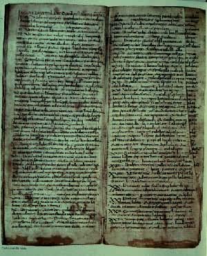 �����˹���������ۡ�ׯ԰��һҳ