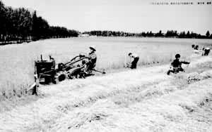 ��ʳרҵ���ո�С��