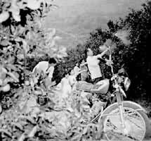 ����רҵ��