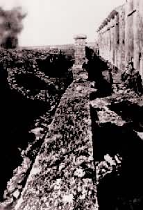 ������1916�귲����ս���м��ش�10���µļ��Ҫ��