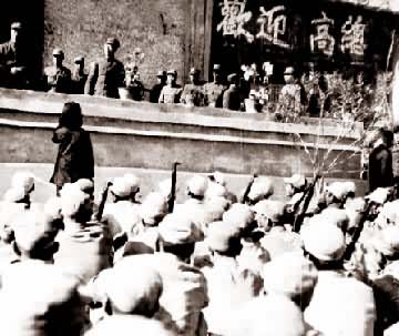 ��ӭ����ٱ����