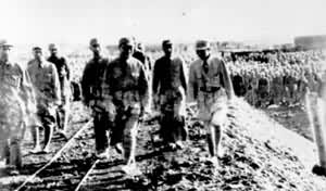 ������(����)����Сƽ(�Ҷ�)�ȼ��Ĳ���