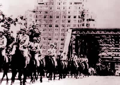 �����Ϻ������������ž��������