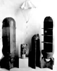 �����վ��ɻ�Ͷ�µ�ϸ����