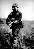 ͸��ʽ������