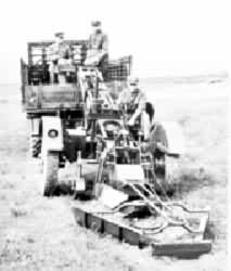 ��ʽ���׳�