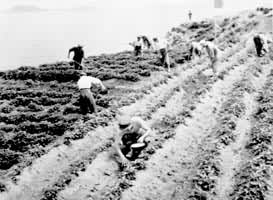 ��������ҵ������