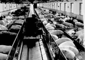 ����ũ���Ļ�е��������