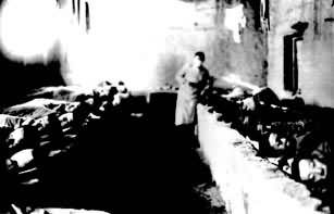 �й���ũ���ҽԺ�Ĳ���