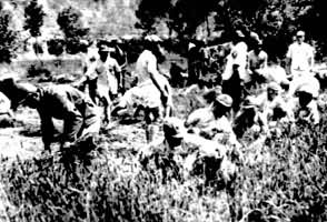 �й���ũ�������ũ������