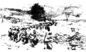 �й������ž�������ǰ�߼���