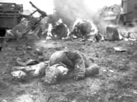 ���񵳾���1�����ݶӵ��������ջ�